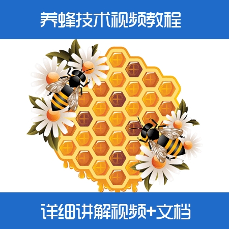 蜜蜂养殖技术视频教程/中蜂养殖/养蜂技术大全视频教材/如何养蜂